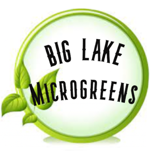 Big Lake Micros