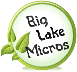 Big Lake Micros